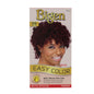2RB Bigen Easy Color for Burgundy (1 pack)